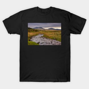 River Usk and the Carmarthen Fan T-Shirt